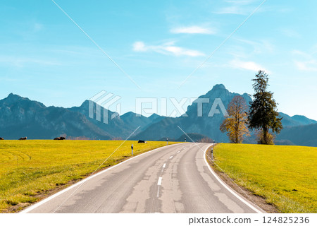 Landscape with road and green pasture in Bavarian Alps Landscape with road and green pasture in Bavarian Alps 124825236