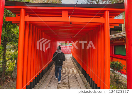 犬山市犬山城附近的三光稻荷神社景觀（愛知縣） 124825527