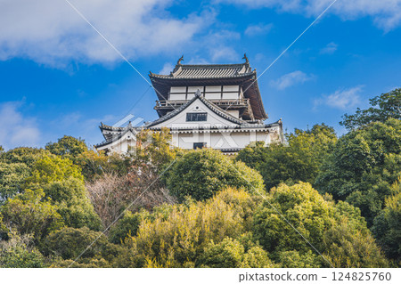 Looking up at the castle tower of Inuyama Castle in Inuyama City (Aichi Prefecture) 124825760