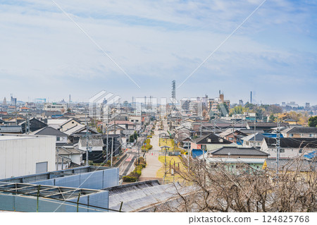 Scenery around Inuyama Castle in Inuyama City (Aichi Prefecture) 124825768