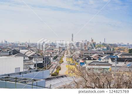 Scenery around Inuyama Castle in Inuyama City (Aichi Prefecture) 124825769