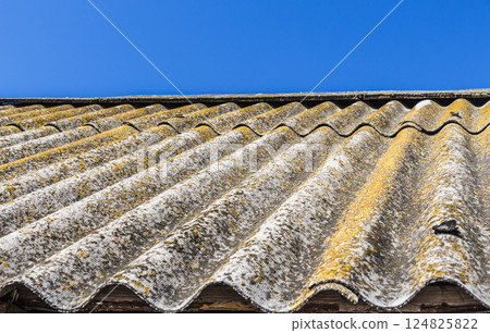The old roof The old roof 124825822