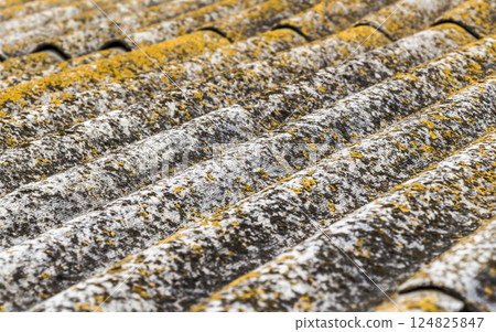 The old roof The old roof 124825847