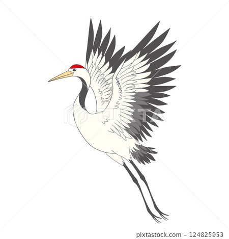 Japanese crane bird isolate on a white background. Japanese crane bird isolate on a white background. 124825953