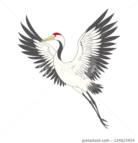 Japanese crane bird isolate on a white background. Japanese crane bird isolate on a white background. 124825954