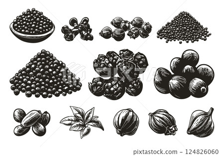 Peppercorn Heap Mill Dried Seed Icons Set Black and White Linocut Print Style Spices Herb Grinding Tools Vintage Illustration Monochrome Artwork Pepper Seed Dried Peppercorn Mill 124826060