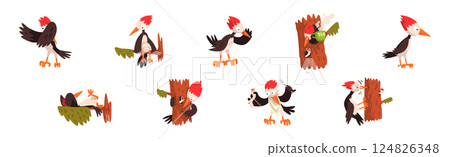 Funny Woodpecker Bird in Different Pose Vector Set 124826348