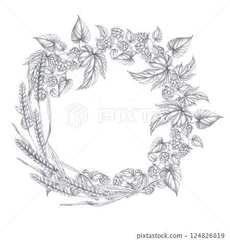 Wreath of hop branches and barley ears. Isolated pencil illustration in realistic style for pub design, labels, menus, cookbooks, signs. Wreath of hop branches and barley ears. Isolated pencil illustration in realistic style for pub design, labels, menus, cookbooks, signs. 124826819