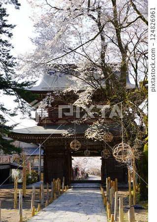 Mount Yagikumi Kegon Cherry Blossom Festival Mount Yagikumi Kegon Cherry Blossom Festival 124826961