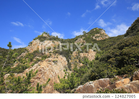 Scenery around Ryugu Shrine in Tosashimizu, Kochi Prefecture 124827005