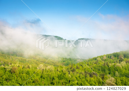 nature background with mountain and fog evaporating to cloud. green environment. beautiful view of forest on the hill in morning light. scenic weather nature background with mountain and fog evaporating to cloud. green environment. beautiful view of forest on the hill in morning light. scenic weather 124827029