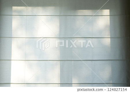 Soft sunlight penetrates inside, casting an elegant shadow of leaves on the blinds, emphasizing the warm neutral tones. High quality photo 124827154