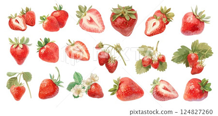 Watercolor strawberry. Fresh red summer berry fruit sliced whole on bush with leaves flowers, organic healthy food set vector illustration 124827260
