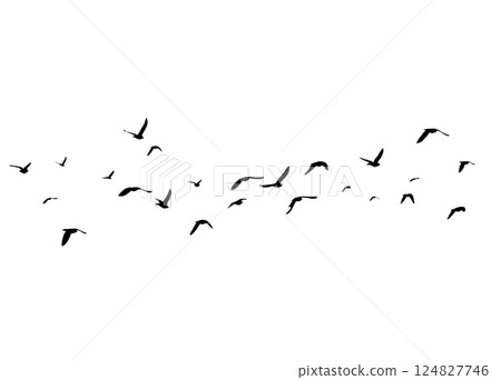 Flying birds silhouette flock. hand drawing. Not AI. Vector illustration 124827746
