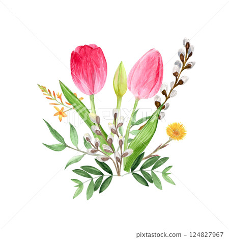 Watercolor spring flowers, hand-drawn illustration, tulips, willow, mother-and-stepmother 124827967