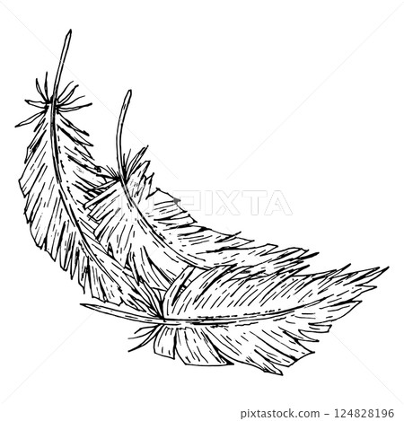 Hand-drawn vector illustration of two curved feathers in a graceful composition. Ideal for boho wedding designs, tribal decorations, branding, native-inspired crafts, and natural textile patterns. Hand-drawn vector illustration of two curved feathers in a graceful composition. Ideal for boho wedding designs, tribal decorations, branding, native-inspired crafts, and natural textile patterns. 124828196
