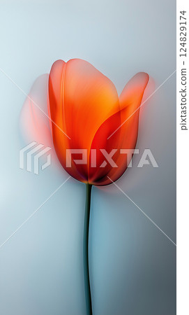 Vibrant tulip bloom showcasing nature's elegance in spring's colorful floral harmony 124829174