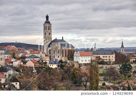 View of Kutna Hora, Czech republic 124829699