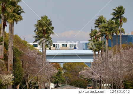 新交通Yurikamome 124831042