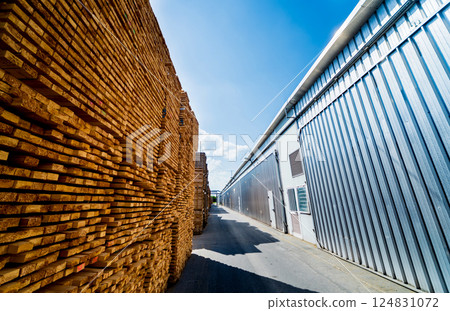 Lumber ready for loading into a dry kiln. Wood drying in containers Lumber ready for loading into a dry kiln. Wood drying in containers 124831072