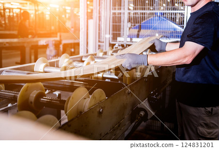 Carpenter with fibreboards at furniture factory workshop. Woodworking industry 124831201