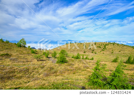 View of Mount Hachibuse [Nagano Prefecture] 124831424