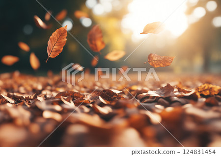 Vibrant Autumn Landscape Featuring Colorful Foliage in Park with Falling Leaves and Warm Light 124831454