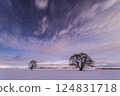 北海道的冬天:春天榆樹與雲朵間的星空 北海道的冬天:春天榆樹與雲朵間的星空 124831718