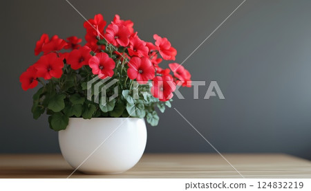 Enhance Your Home Decor With Stunning Red Geraniums - Bring A Pop Of Color And Beauty To Your Living Space. Perfect For Adding A Touch Of Elegance. 124832219