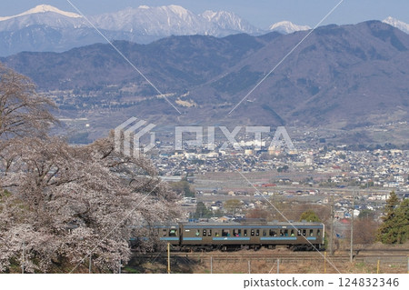 211 series train running through the Kofu Basin in spring_Photo taken on 4/5/2025 211 series train running through the Kofu Basin in spring_Photo taken on 4/5/2025 124832346