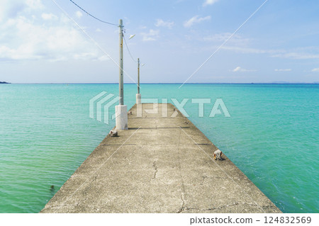 [Minamiboso City, Chiba Prefecture] Okamoto Pier (Haraoka Pier) 124832569