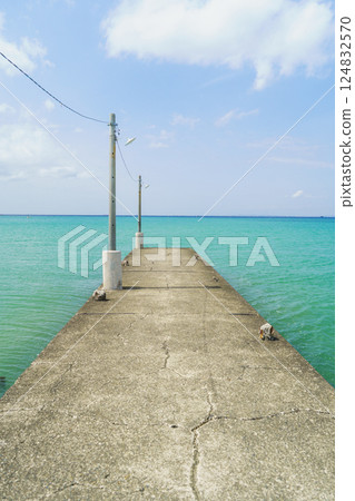 [Minamiboso City, Chiba Prefecture] Okamoto Pier (Haraoka Pier) 124832570