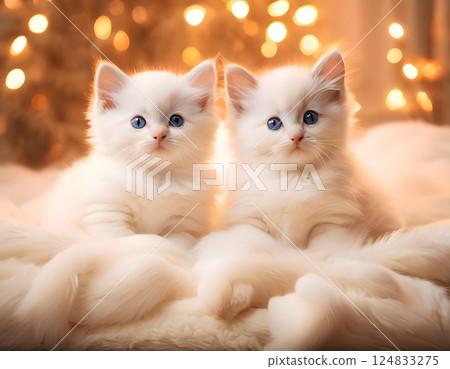 坐著的小貓 124833275