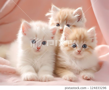 A staring kitten A staring kitten 124833296