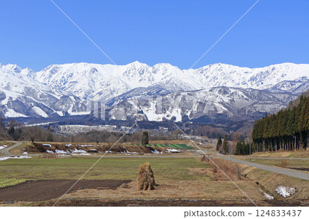 Spring melts in the foothills of Mt. Hakuba 124833437