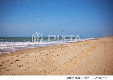 Vehicle tire tracks on wide sandy beach under blue sky along ocean coastline 124833582