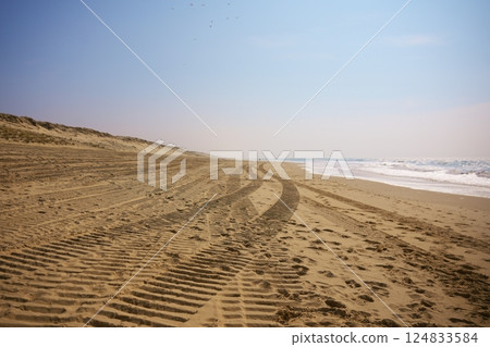 Tire tracks on empty sandy beach under clear sky near calm ocean waves 124833584