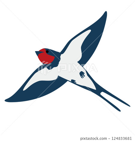 Vector illustration of a swallow flying in the sky 124833681