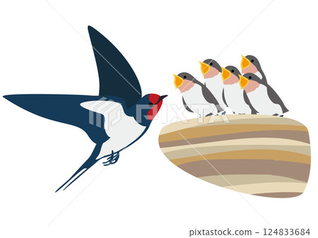 一組燕子幼鳥和父母乞討食物的向量插圖 一組燕子幼鳥和父母乞討食物的向量插圖 124833684
