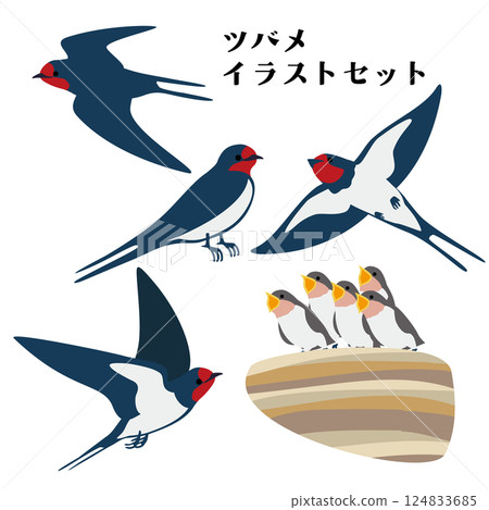 Swallow vector illustration set 124833685