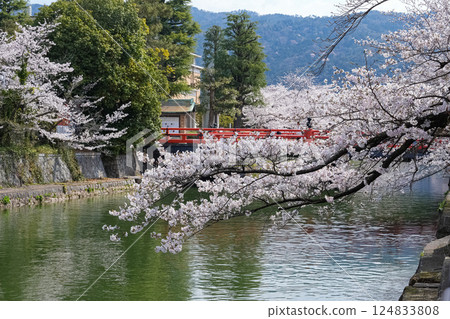 京都：岡崎德國線、岡崎運河 124833808