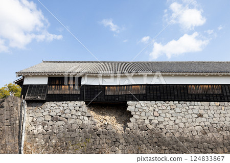 Kumamoto Castle Sightseeing Kumamoto Castle Sightseeing 124833867