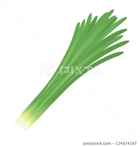 Chinese chive 124834297