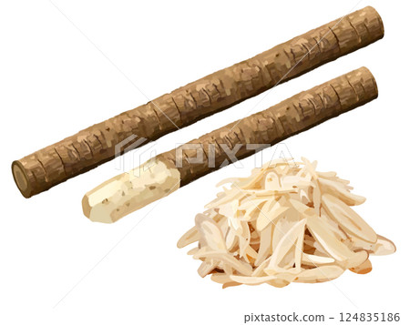 Burdock and shredded 124835186