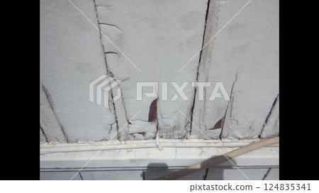 外牆塗料 外牆塗料 124835341