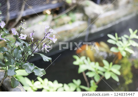 Coffee shop interior vintage style in Thailand, stock photo 124835447