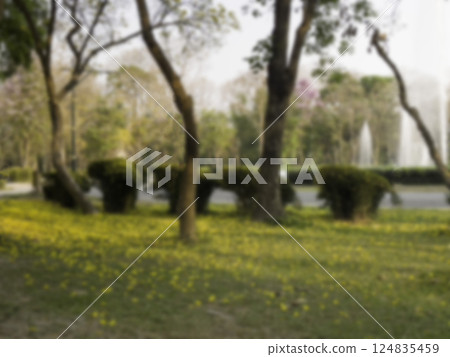 Coffee shop interior vintage style in Thailand, stock photo Coffee shop interior vintage style in Thailand, stock photo 124835459