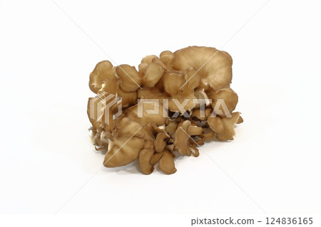 Easy to use Maitake mushroom 124836165
