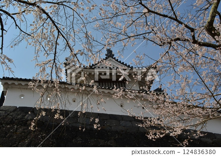 Miyagi Prefecture Shiroishi Castle 124836380