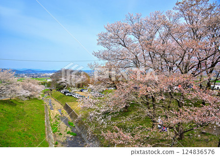 <Gifu Prefecture> Kamagatani Valley with cherry blossoms in full bloom <Gifu Prefecture> Kamagatani Valley with cherry blossoms in full bloom 124836576